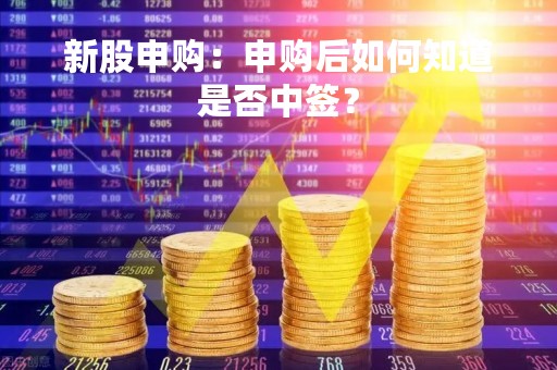 新股申购：申购后如何知道是否中签？