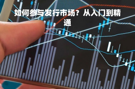 如何参与发行市场？从入门到精通