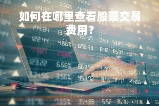 如何在哪里查看股票交易费用？