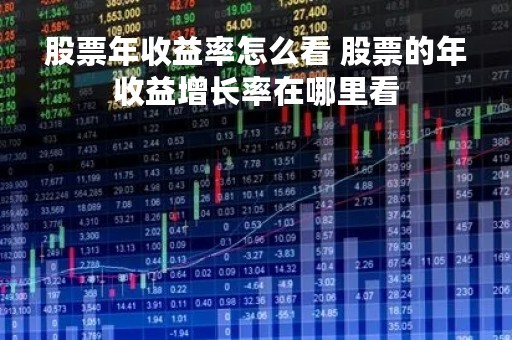 股票年收益率怎么看 股票的年收益增长率在哪里看