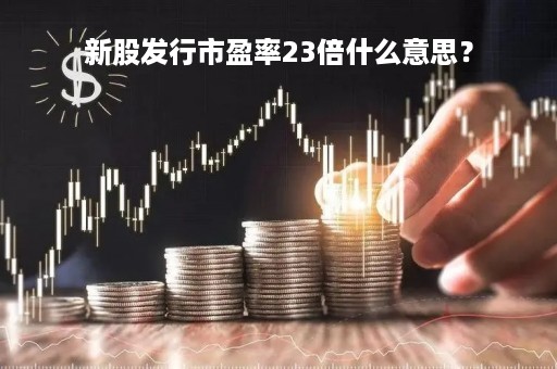 新股发行市盈率23倍什么意思？
