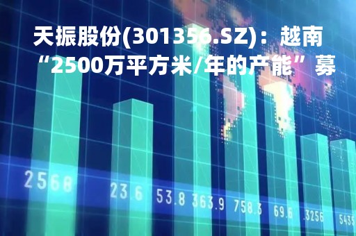 天振股份(301356.SZ)：越南“2500万平方米/年的产能”募投项目基本已经建设完成并投入使用