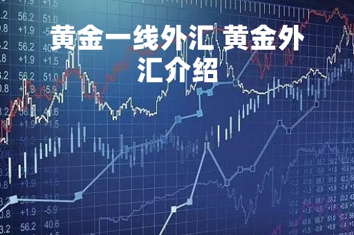 黄金一线外汇 黄金外汇介绍