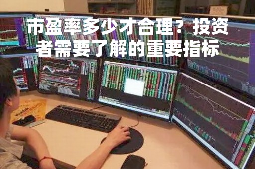 市盈率多少才合理？投资者需要了解的重要指标