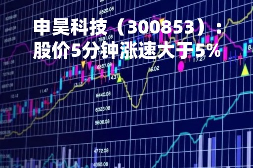 申昊科技（300853）：股价5分钟涨速大于5%（05-04）