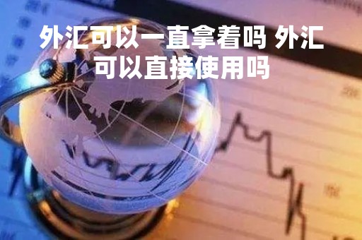 外汇可以一直拿着吗 外汇可以直接使用吗