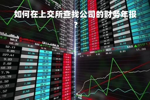 如何在上交所查找公司的财务年报？