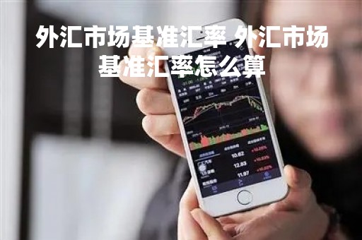 外汇市场基准汇率 外汇市场基准汇率怎么算
