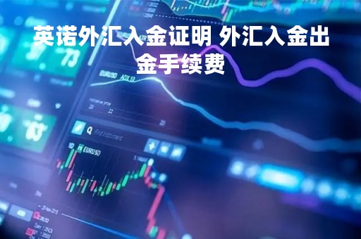 英诺外汇入金证明 外汇入金出金手续费