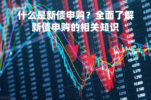 什么是新债申购？全面了解新债申购的相关知识
