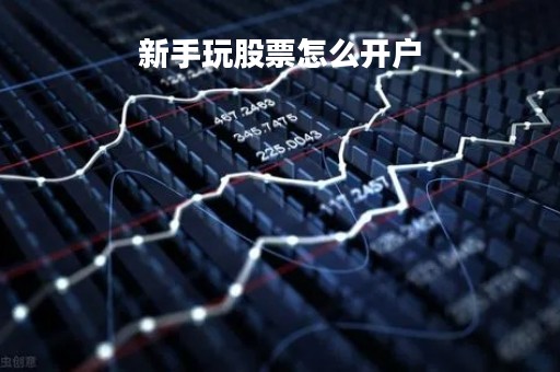 新手玩股票怎么开户