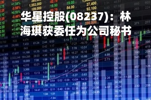华星控股(08237)：林海琪获委任为公司秘书及授权代表