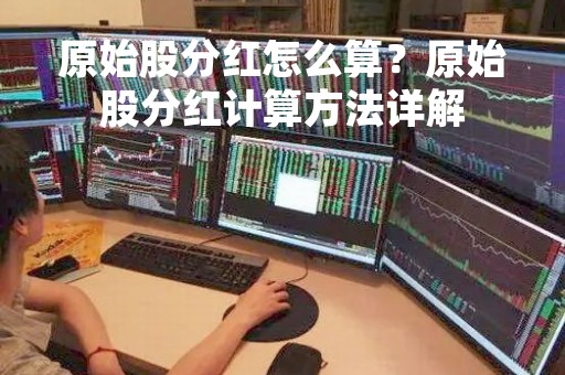 原始股分红怎么算？原始股分红计算方法详解
