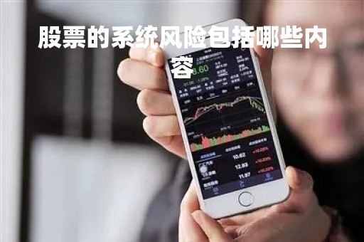 股票的系统风险包括哪些内容