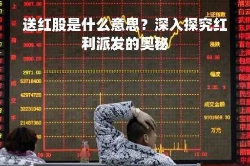 送红股是什么意思？深入探究红利派发的奥秘