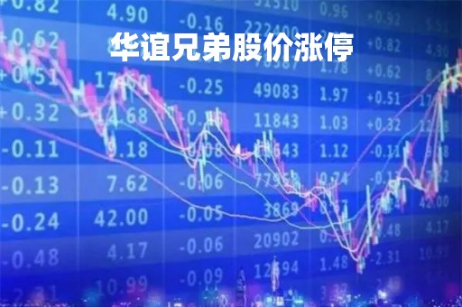 华谊兄弟股价涨停