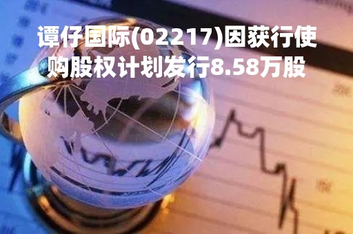谭仔国际(02217)因获行使购股权计划发行8.58万股