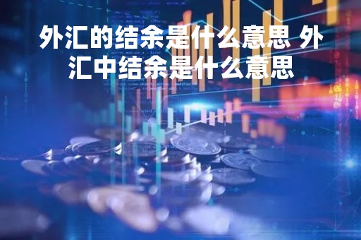 外汇的结余是什么意思 外汇中结余是什么意思