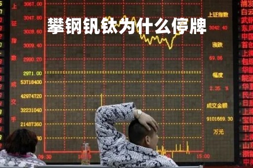 攀钢钒钛为什么停牌