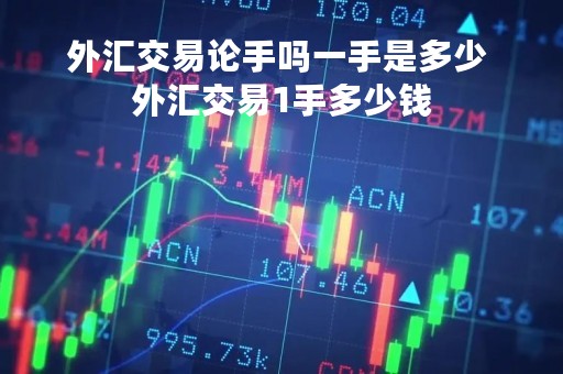 外汇交易论手吗一手是多少 外汇交易1手多少钱