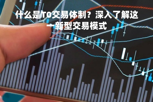 什么是T0交易体制？深入了解这一新型交易模式
