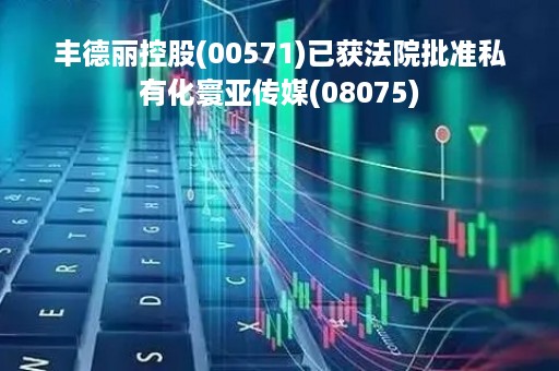 丰德丽控股(00571)已获法院批准私有化寰亚传媒(08075)