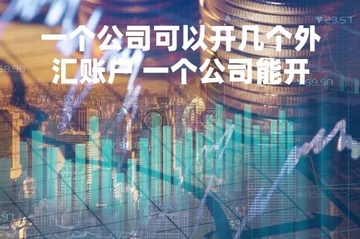 一个公司可以开几个外汇账户 一个公司能开几个外币账户