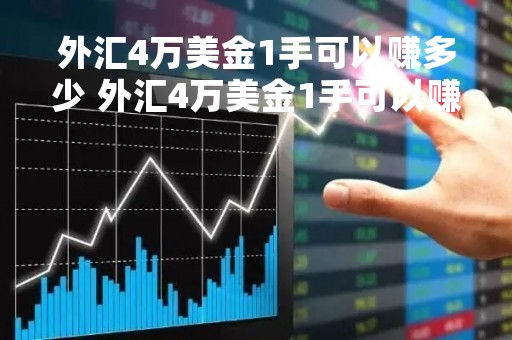 外汇4万美金1手可以赚多少 外汇4万美金1手可以赚多少人民币