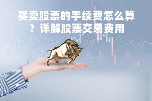 买卖股票的手续费怎么算？详解股票交易费用