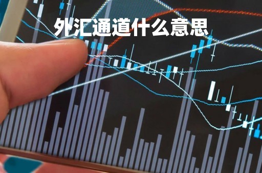 外汇通道什么意思
