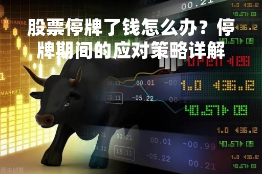 股票停牌了钱怎么办？停牌期间的应对策略详解