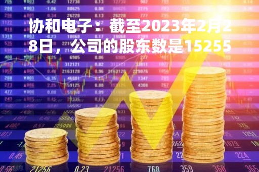 协和电子：截至2023年2月28日，公司的股东数是15255人