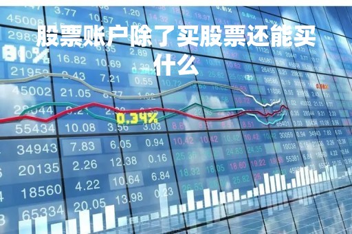 股票账户除了买股票还能买什么