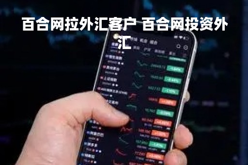 百合网拉外汇客户 百合网投资外汇