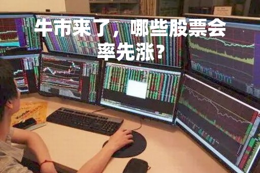 牛市来了，哪些股票会率先涨？
