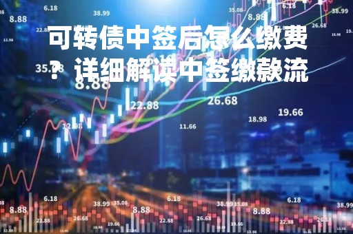 可转债中签后怎么缴费？详细解读中签缴款流程