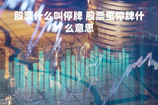 股票什么叫停牌 股票里停牌什么意思