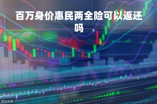 百万身价惠民两全险可以返还吗