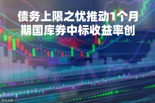 债务上限之忧推动1个月期国库券中标收益率创下历史新高