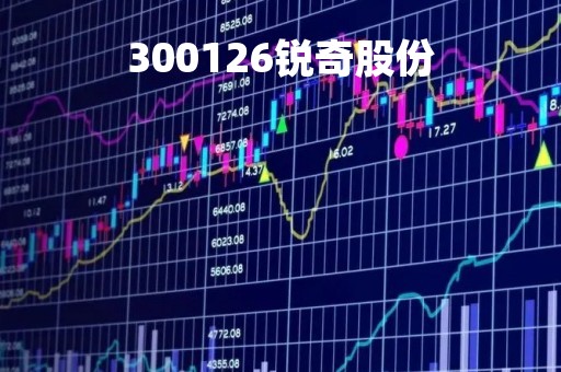 300126锐奇股份