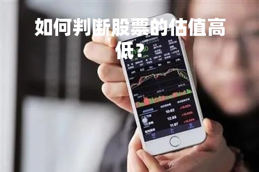 如何判断股票的估值高低？