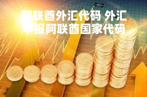 阿联酋外汇代码 外汇申报阿联酋国家代码