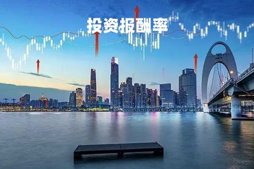 投资报酬率