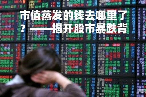 市值蒸发的钱去哪里了？——揭开股市暴跌背后的真相