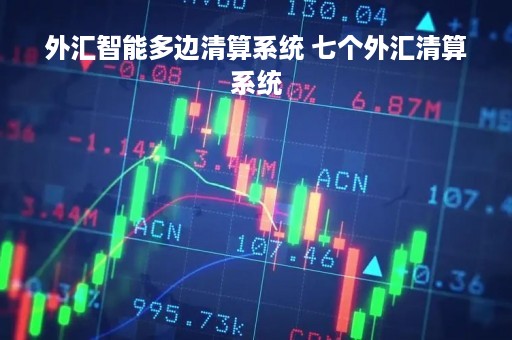 外汇智能多边清算系统 七个外汇清算系统