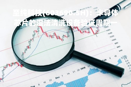 至纯科技(603690.SH):半导体芯片的湿法清洗设备验证周期一般为6-12个月