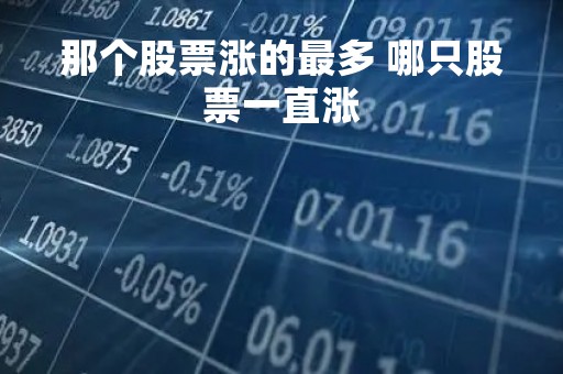 那个股票涨的最多 哪只股票一直涨