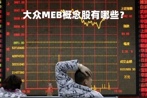 大众MEB概念股有哪些？