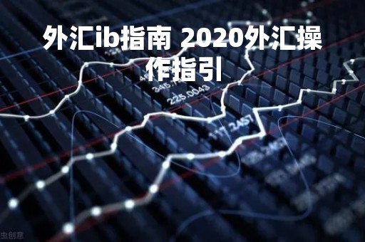 外汇ib指南 2020外汇操作指引