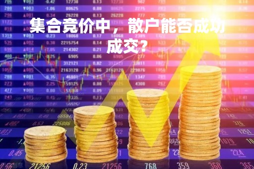 集合竞价中，散户能否成功成交？